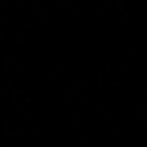 Meet your Posher, Bobby